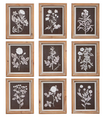 10" Botanical Framed Print