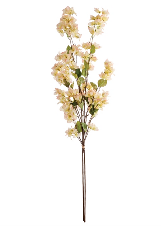 Bougainvillea Stem Yellow Blush 54" Bundle of 2
