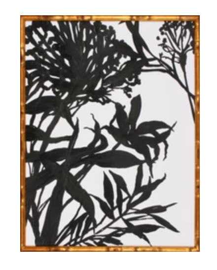 Monochrome Foliage I Giclee 29x38h