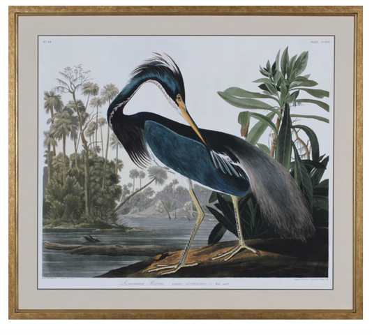 Louisiana Heron 42x37"h