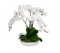 White Vase w/ Orchids, Bamboo & Moss 27"h