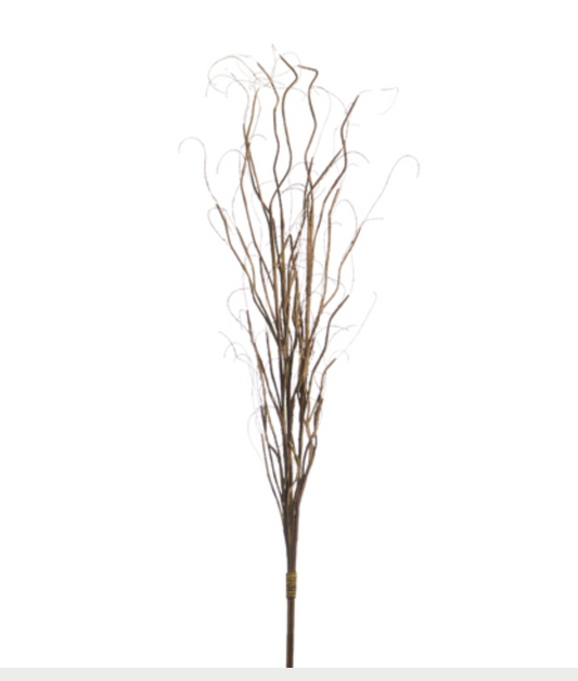 Curly Willow Bundle 36"