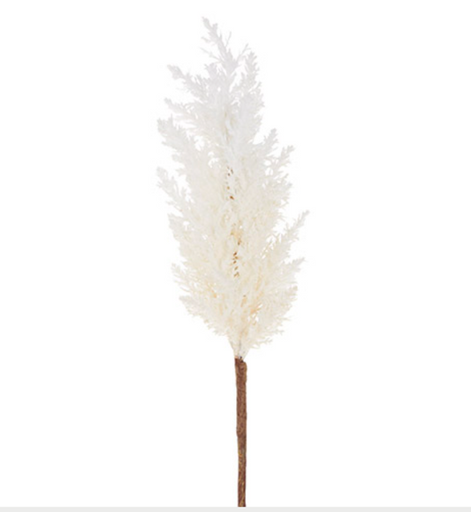 32" Pampas Grass Stem
