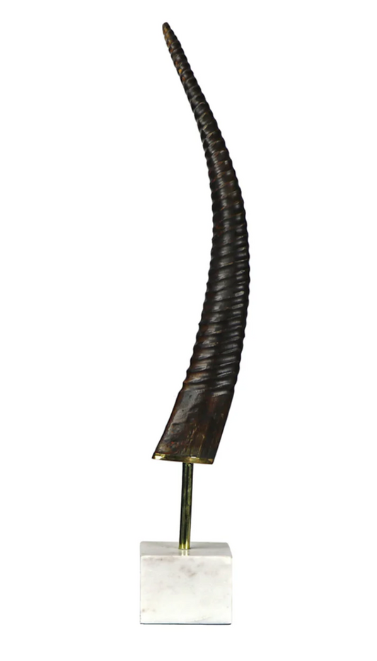 Exotic Horn on Large Base 32"h