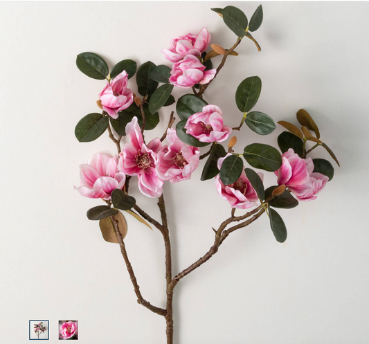 Bicolor Magnolia Stems 40"