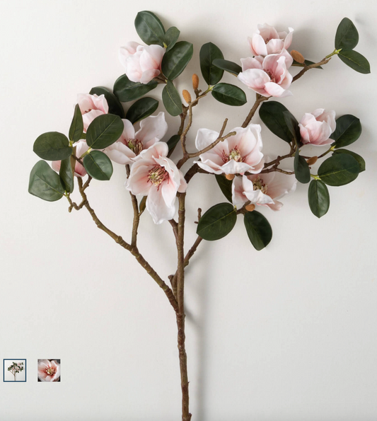 Bicolor Magnolia Stem Blush 40"