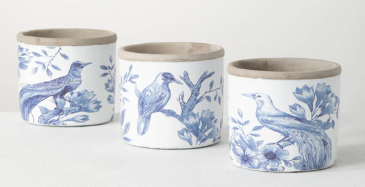 Brid Pattern Pot 5.75x5"h Asst.