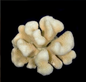 Cauliflower Coral 10-12"