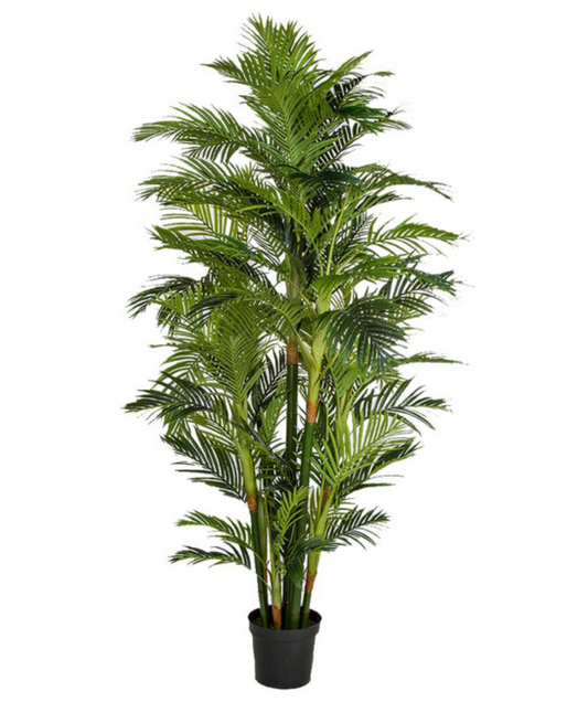 8' Natural Touch Majesty Palm