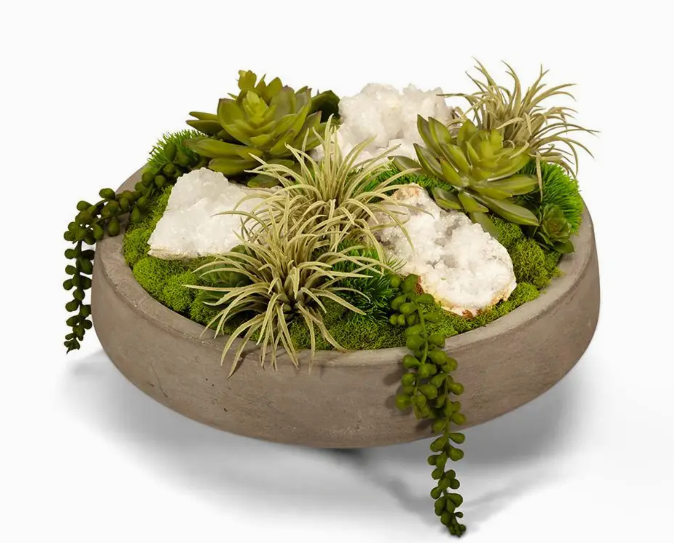 Succulents in Concrete Bowl 13"d x 9"h