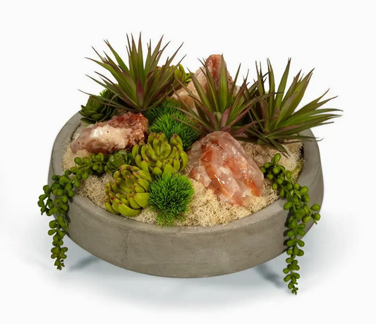 Succulents w/ Red Calcitel 13"d x 9"h