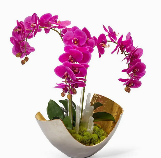Fuchsia Orchid in Gold Scoop Bowl