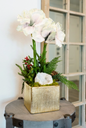 White Double Amaryllis Arrangement 20"h