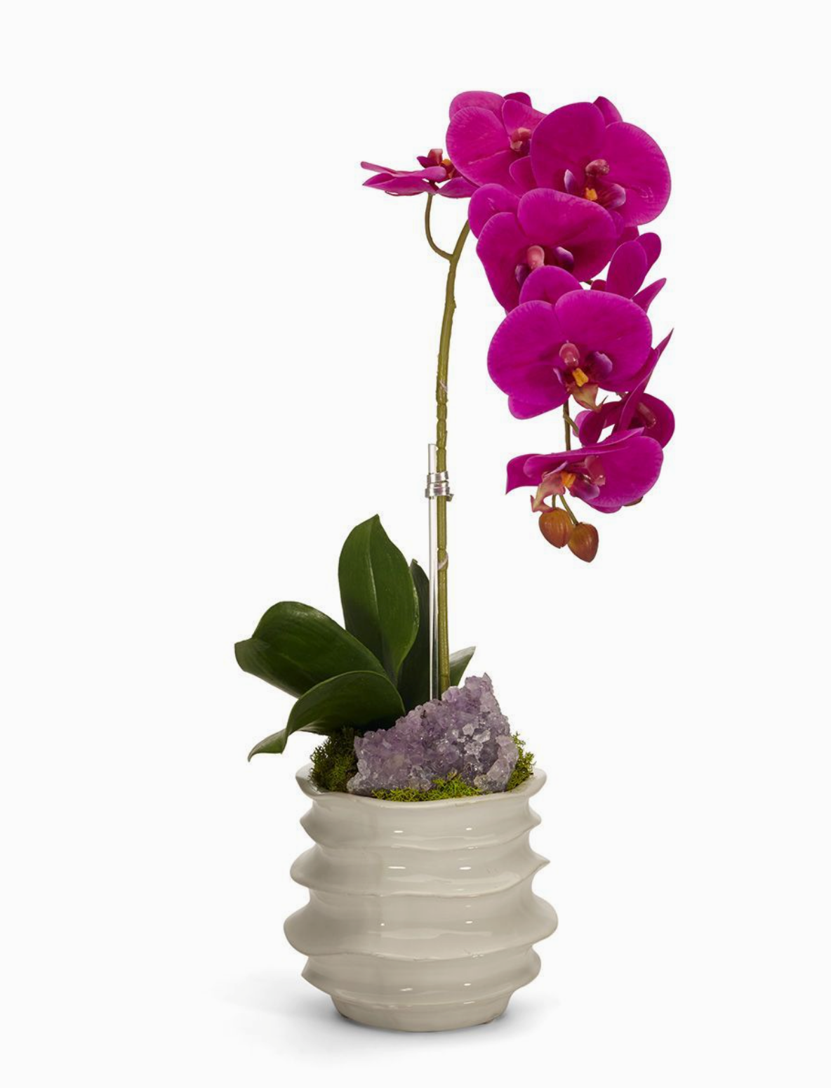 Orchid in White Wavy Pot 18"