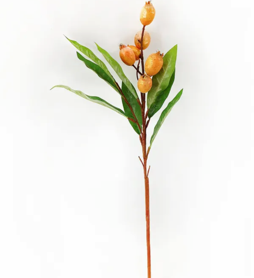 Loquat Stem 23"