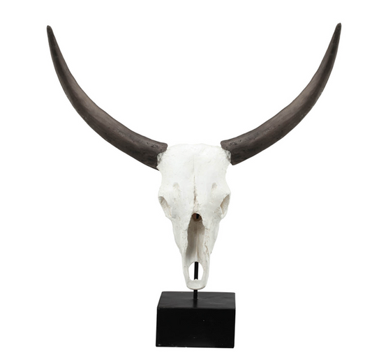 Resin Cow Skull 22.8x10x26"h