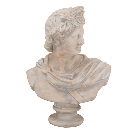 Placidia Bust 24x13.5x31"h