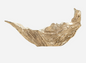 Norley Centerpiece 30x10x15"h