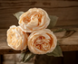 English Rose Bouquet Cream 12"