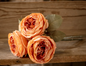 English Rose Bouquet Coral 12"