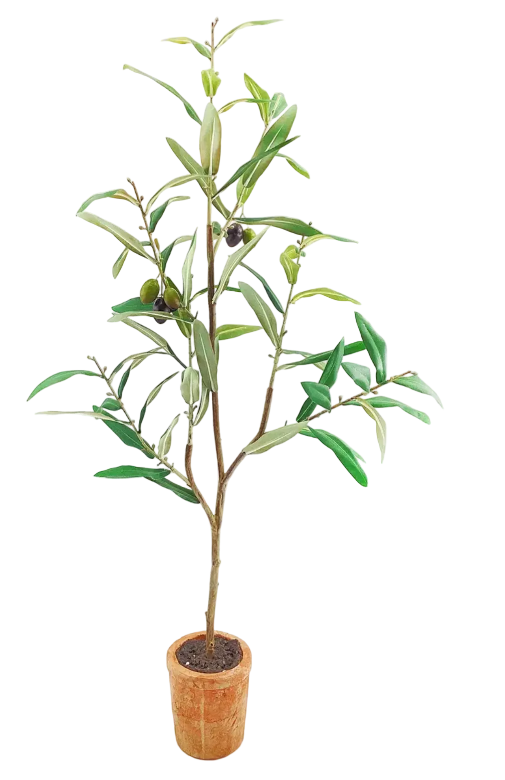 Travelo Potted Olive Tree 31"h