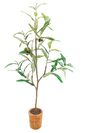 Travelo Potted Olive Tree 31"h