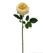 Austin Rose Yellow 17"