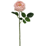 Austin Rose Pink 17"