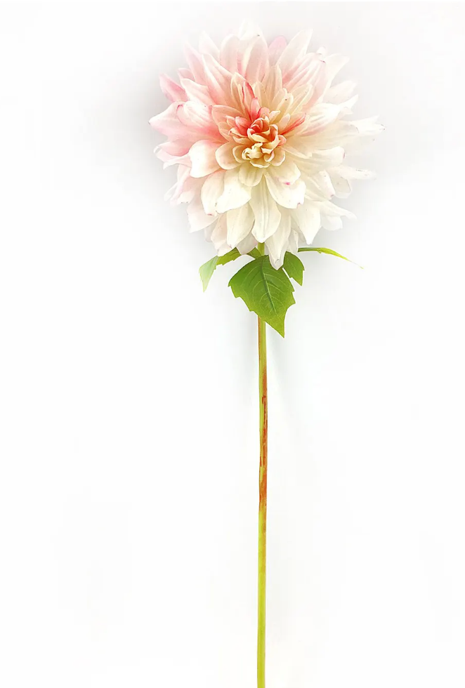 Fresh Touch Dahlia Stem Blush 24"