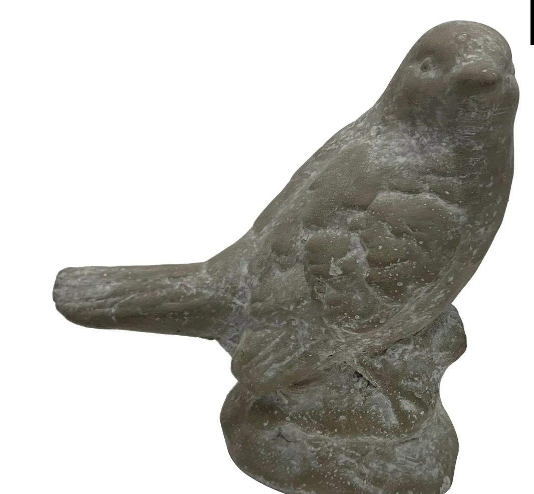 English Garden Cement Bird 5.5"h