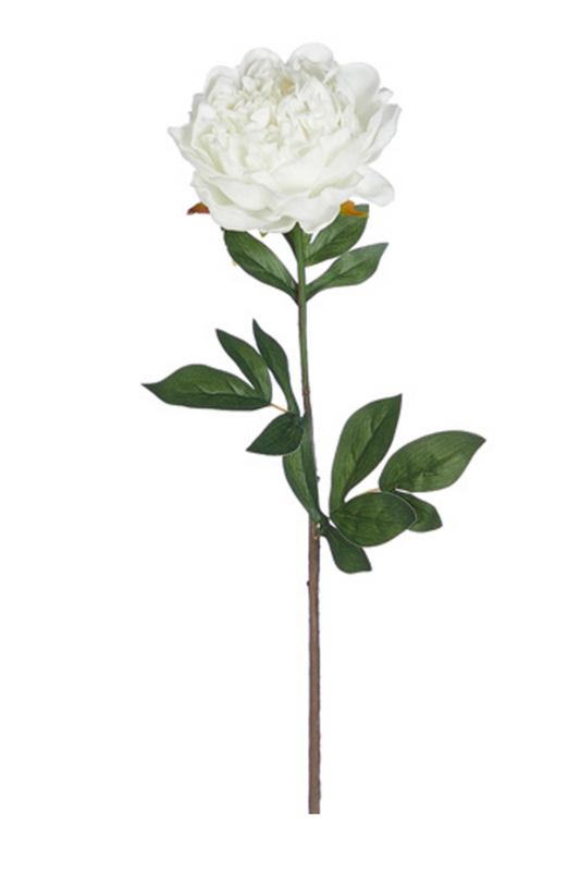 25" Real Touch White Peony Stem