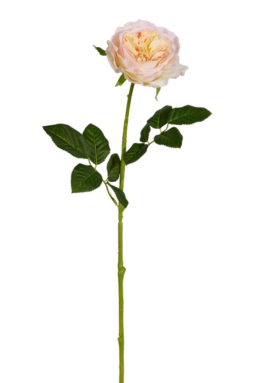 Real Touch Peach Rose Stem  25"