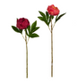 23" Real Touch Pink Peony Stem