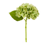 13" Real Tch Green Hydrangea