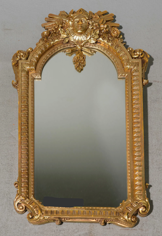 French Louis XV Style Mirror 21 x 3x38"h