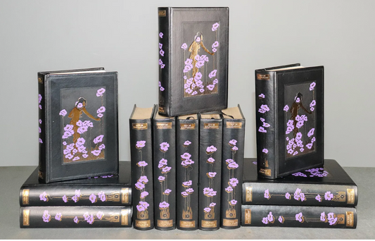 12 Vol European Leather Novel Set