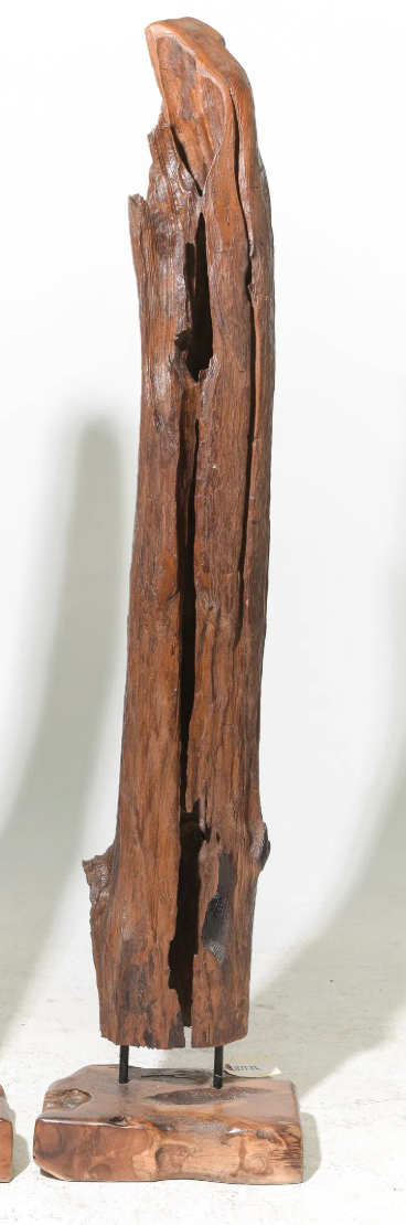 Teak Fragment on Stand 14x9x58"h