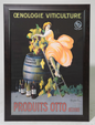 Oenologie Viticulture Poster 33x45"h