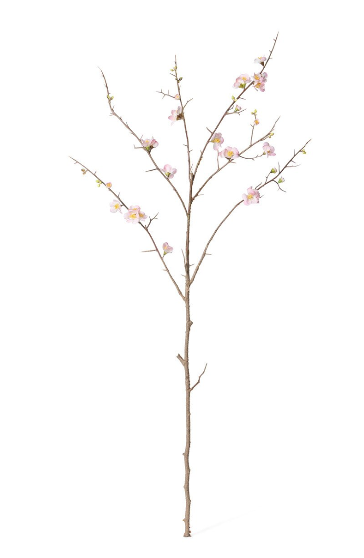 Quince Blossom Branch - Pink 47.5"h
