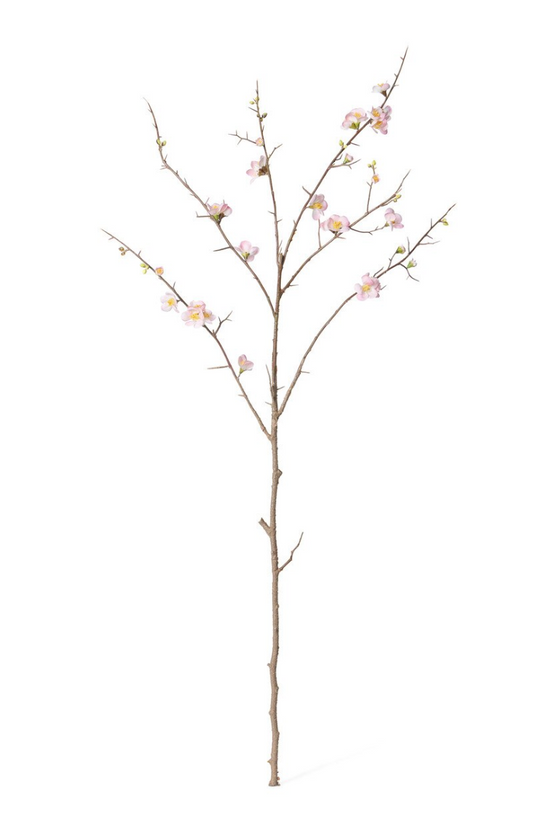 Quince Blossom Branch - Pink 47.5"h