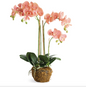 Dusty Pink Phalaenopsis 30"