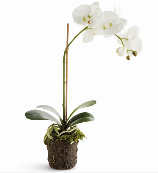 White Orchid Drop-In 21"