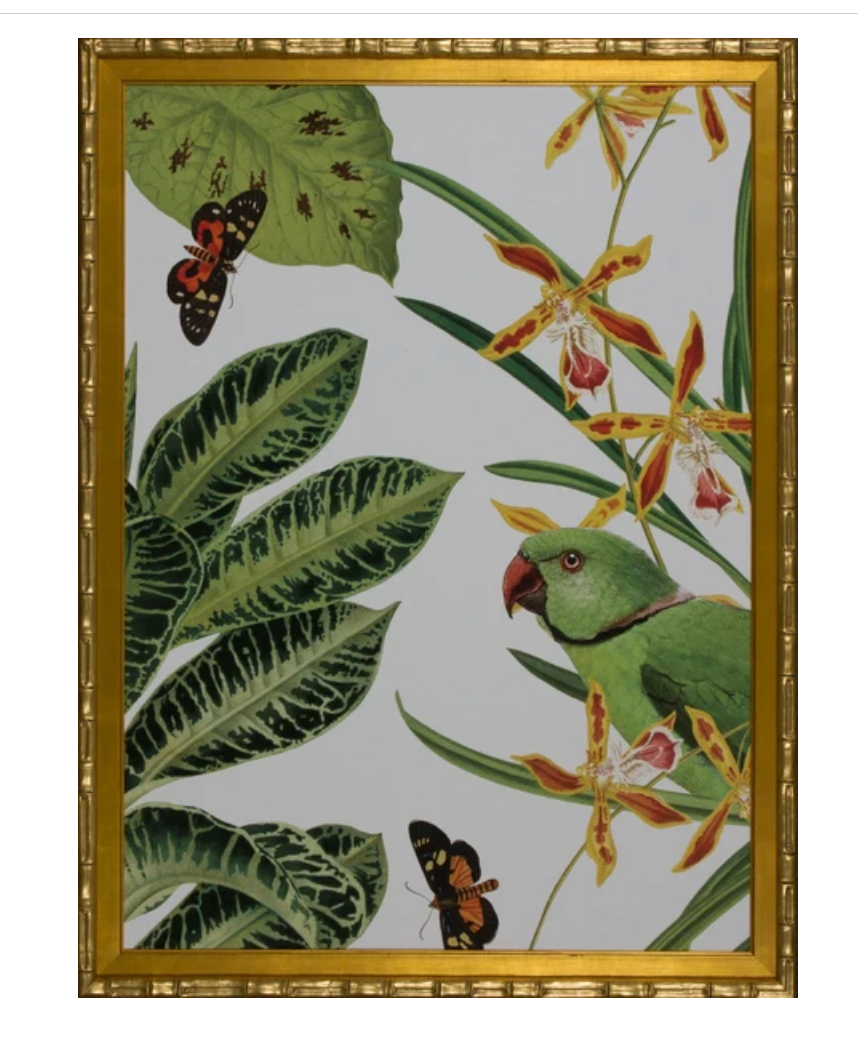 Nature Flora 34x44"h