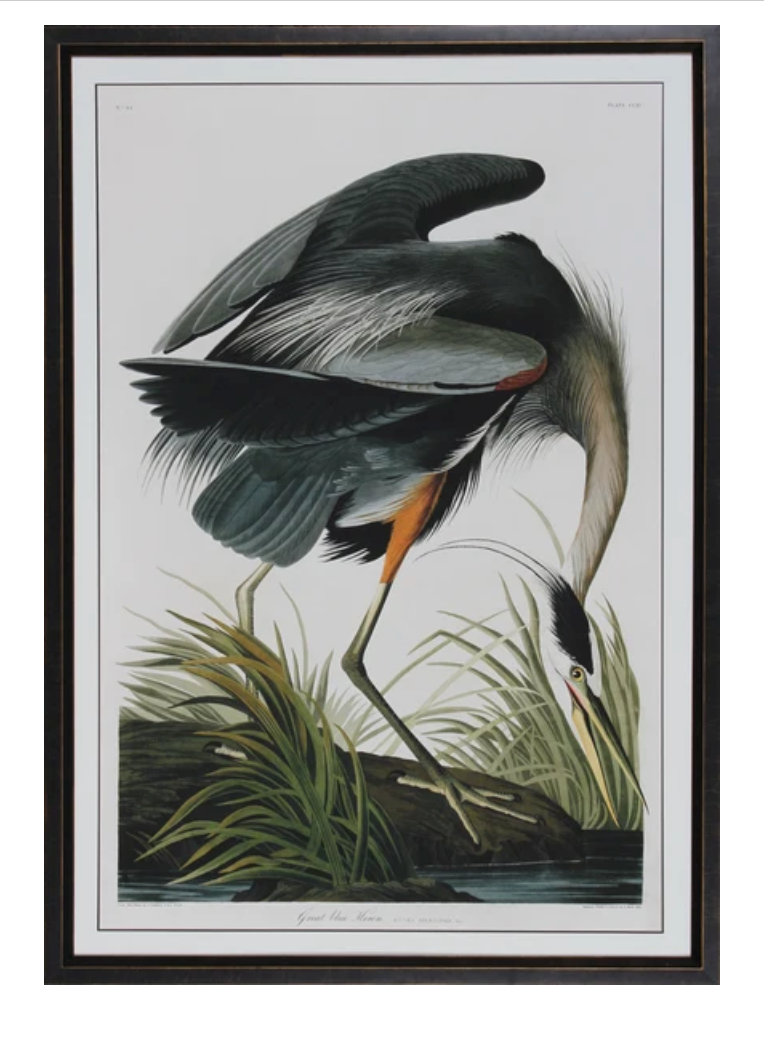Great Blue Heron 43x61"