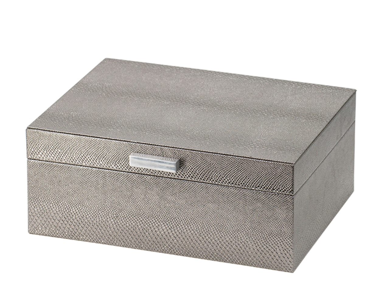 Silver Snakeskin Box