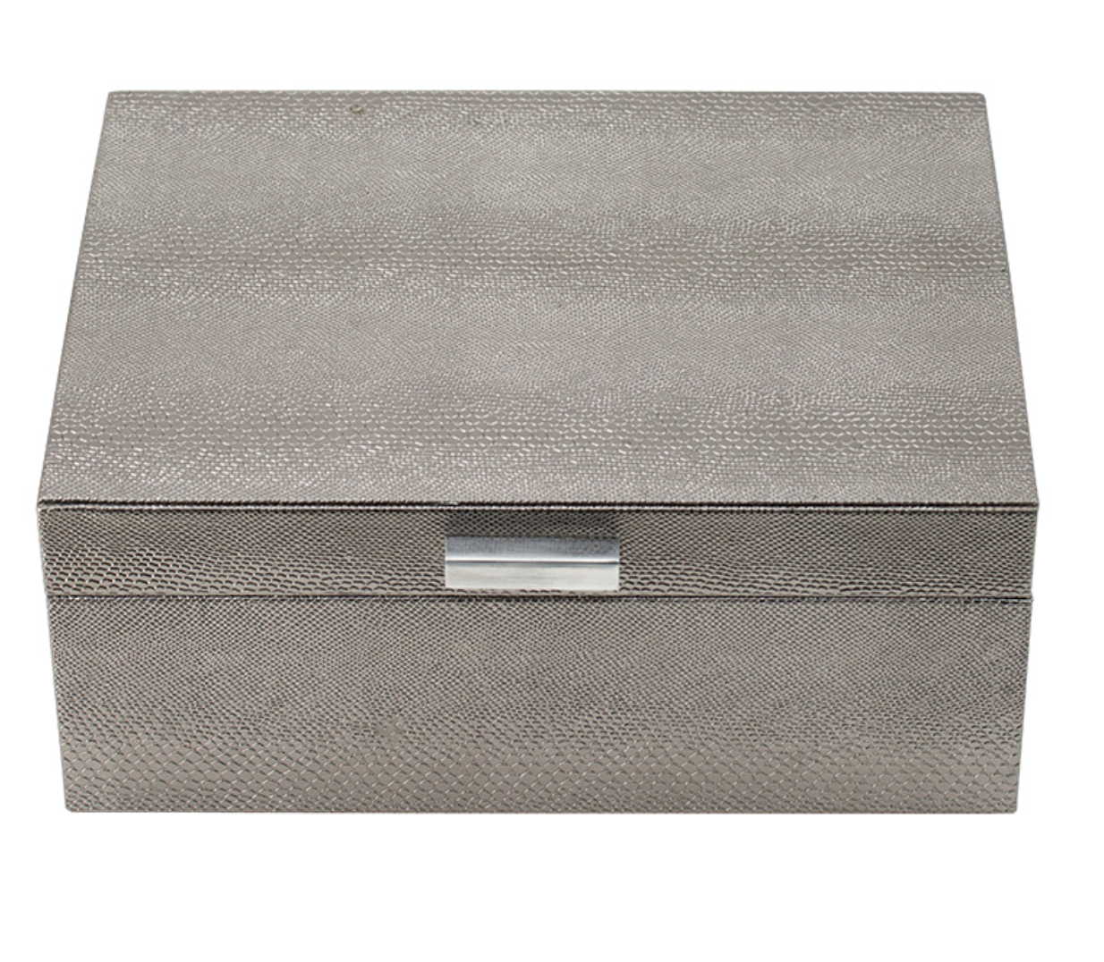 Silver Snakeskin Box