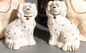 PAIR King Charles Staffordshire Dogs