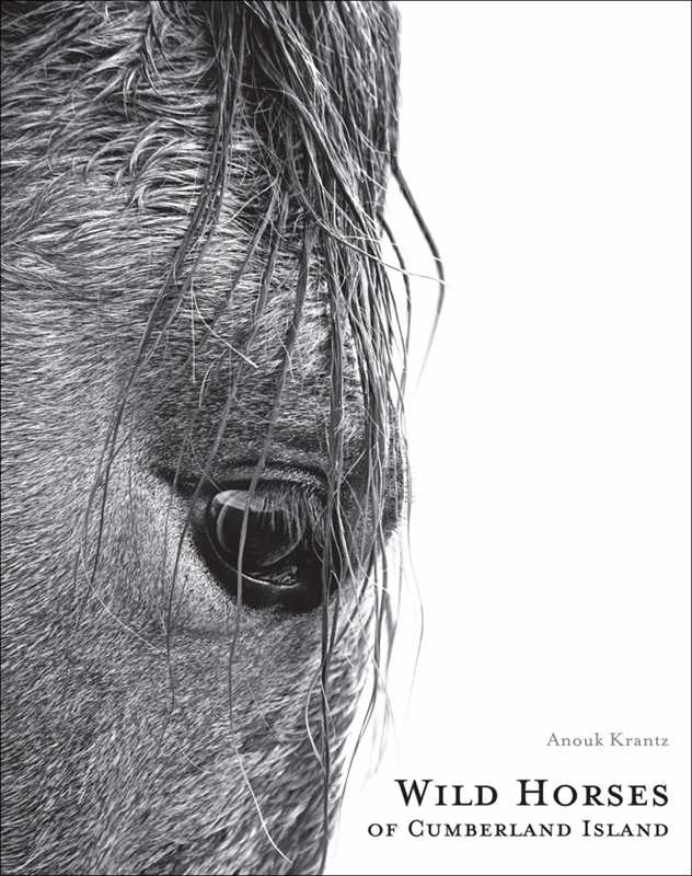 Wild Horses of Cumberland Island by Anouk Masson Krantz: Hardcover; 240 pages / English