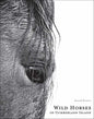 Wild Horses of Cumberland Island by Anouk Masson Krantz: Hardcover; 240 pages / English