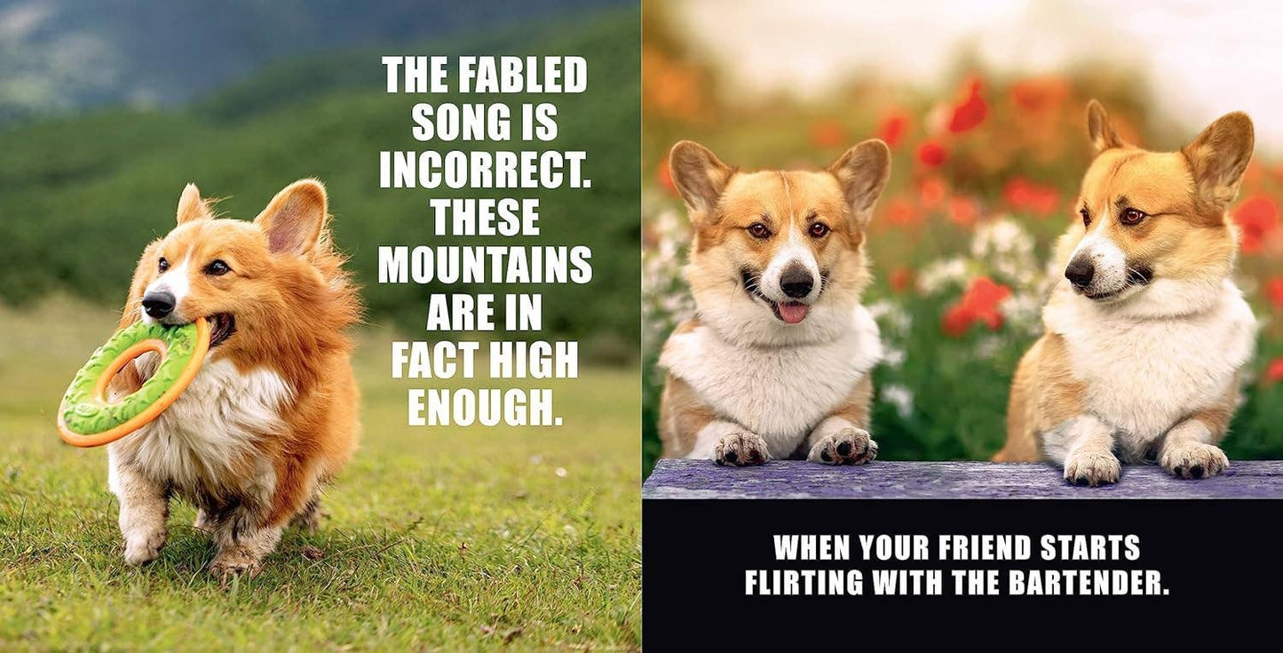No Thoughts Just Corgis: A Compendium of Cuteness